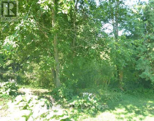 21726 Highway 48, East Gwillimbury, Ontario  L0G 1M0 - Photo 14 - N12745934