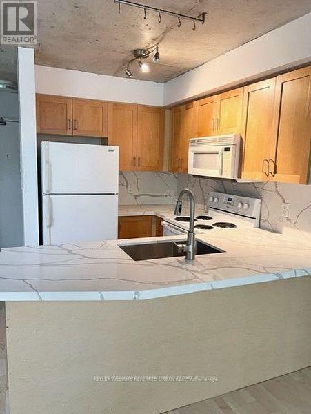 209 - 800 King Street W, Toronto (Niagara), Ontario  M5V 3M7 - Photo 11 - C12745990