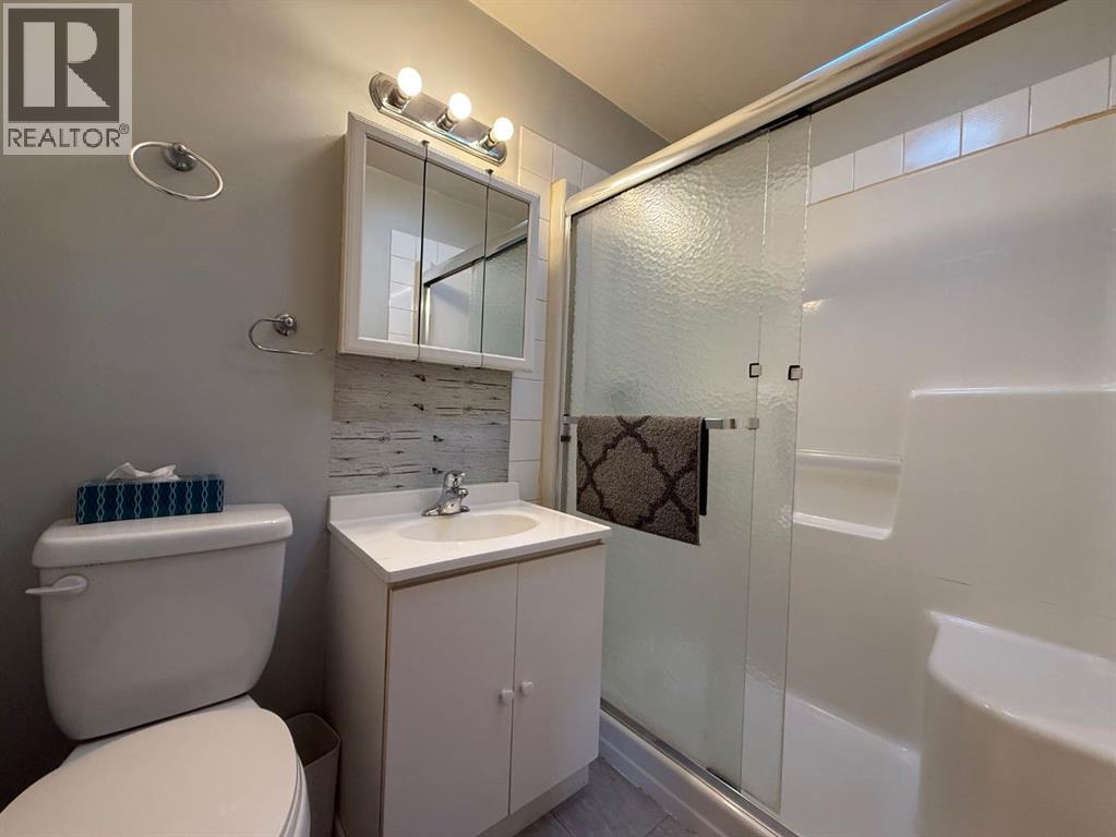 5002 49 Avenue, Botha, Alberta  T0C 0N0 - Photo 14 - A2260308