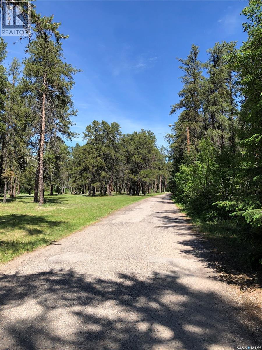 308 102 Manor Drive, Nipawin, Saskatchewan  S0E 1E0 - Photo 8 - SK027576