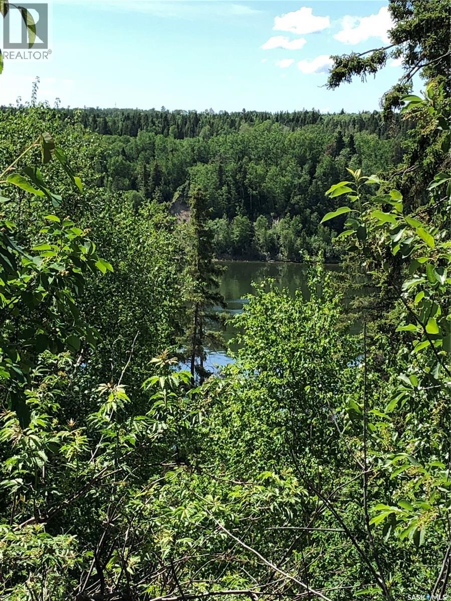 308 102 Manor Drive, Nipawin, Saskatchewan  S0E 1E0 - Photo 11 - SK027576