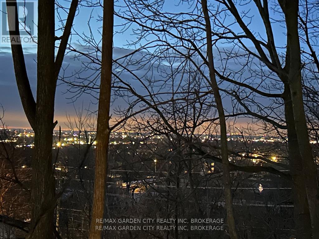 37 Bradley Street, St. Catharines (Burleigh Hill), Ontario  L2T 1R5 - Photo 4 - X12746080