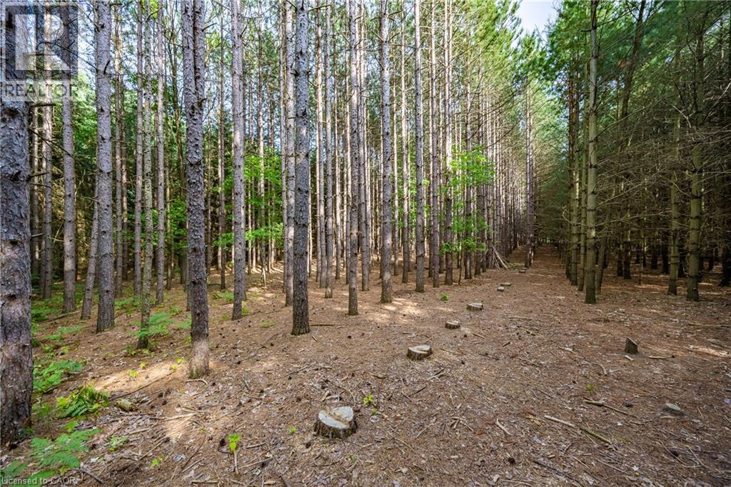 1353 Charlotteville Rd. 8 Road, Simcoe, Ontario  N3Y 2K5 - Photo 34 - 40799368