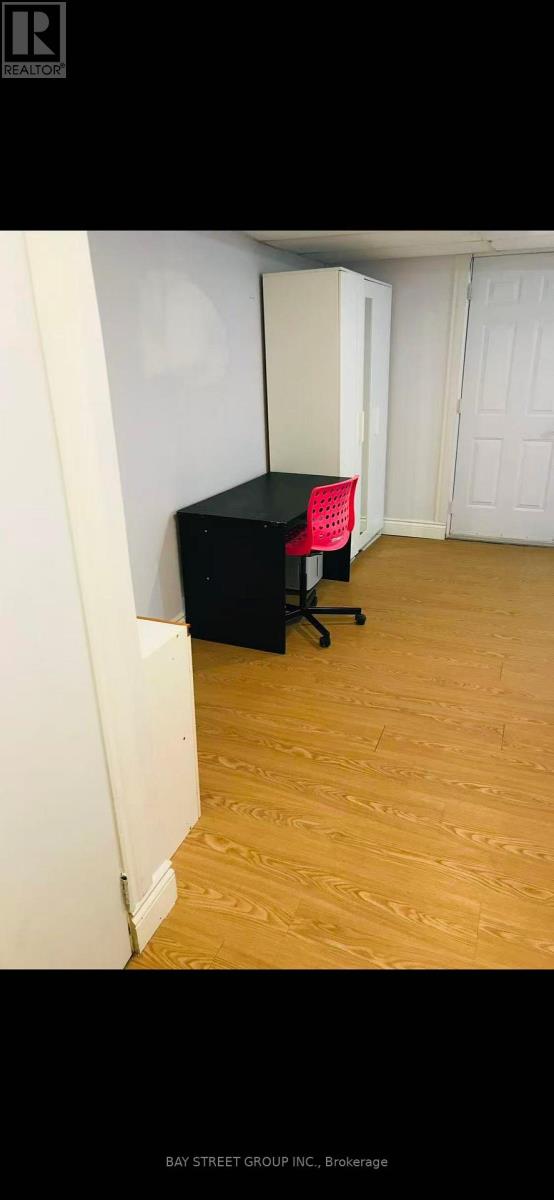 Basement - 45 Abbington Drive, Hamilton, Ontario  L9C 4R2 - Photo 2 - X12746188