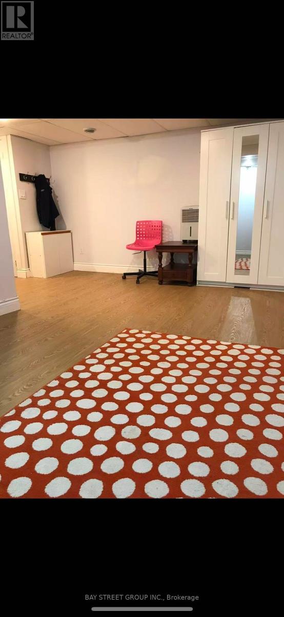 Basement - 45 Abbington Drive, Hamilton, Ontario  L9C 4R2 - Photo 3 - X12746188