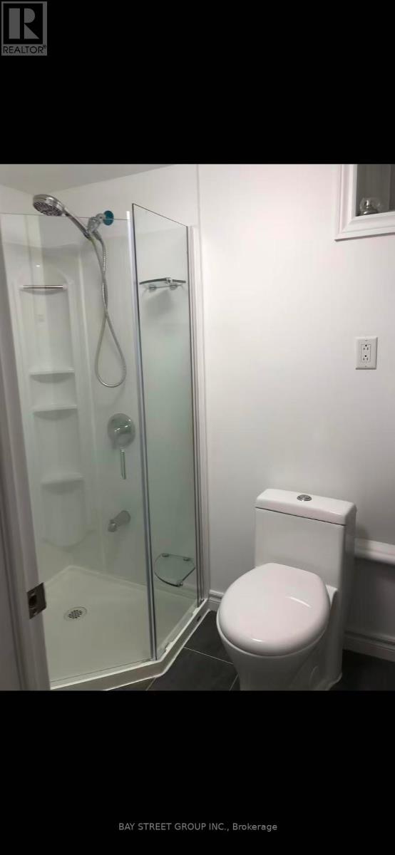 Basement - 45 Abbington Drive, Hamilton, Ontario  L9C 4R2 - Photo 5 - X12746188