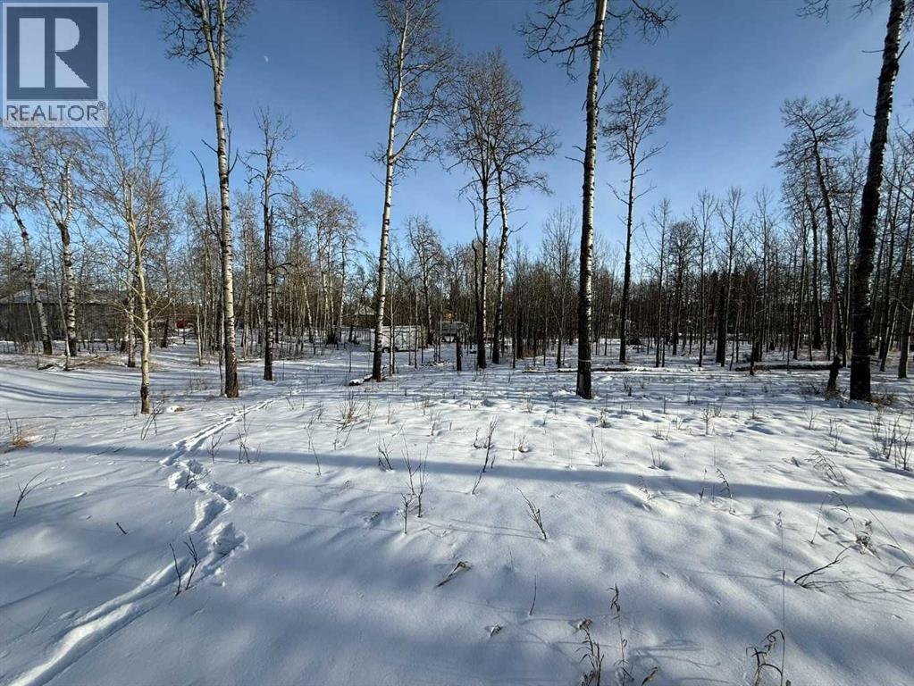 3, 5228 Highway 579, Rural Mountain View County, Alberta  T0M 2E0 - Photo 21 - A2282234
