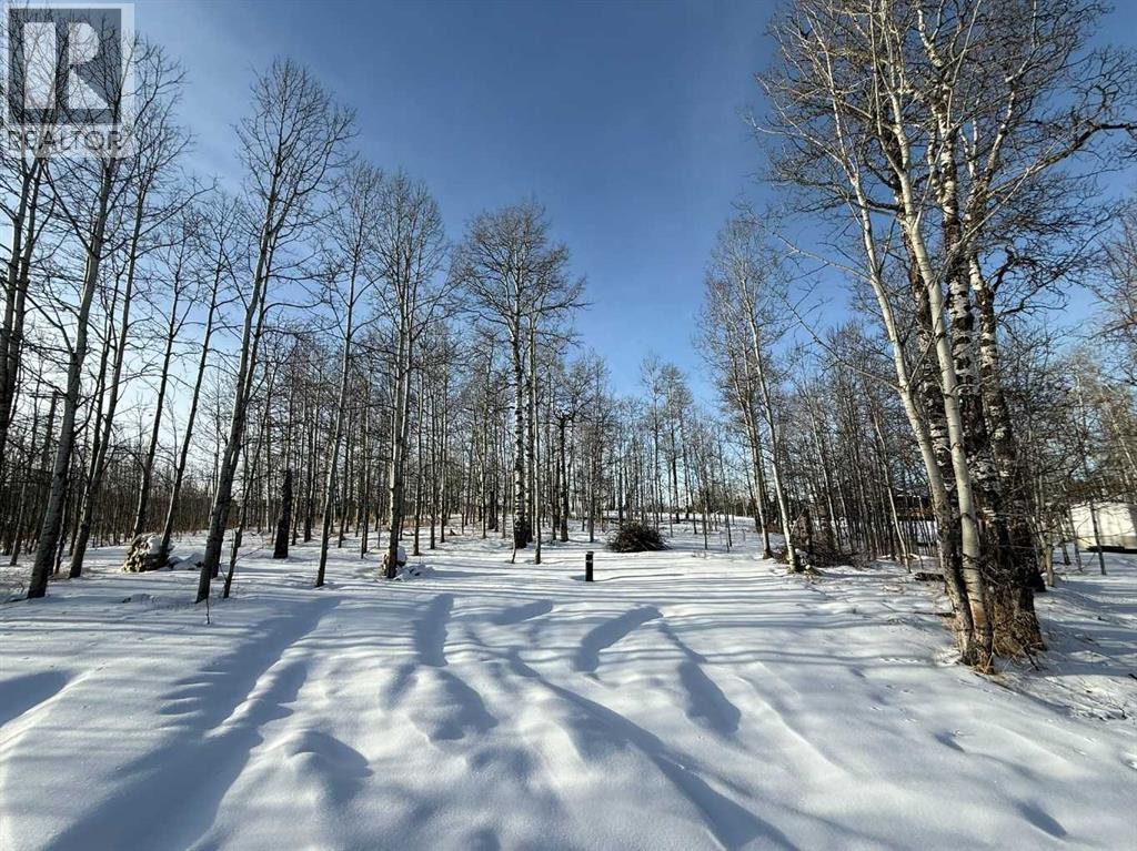 3, 5228 Highway 579, Rural Mountain View County, Alberta  T0M 2E0 - Photo 17 - A2282234