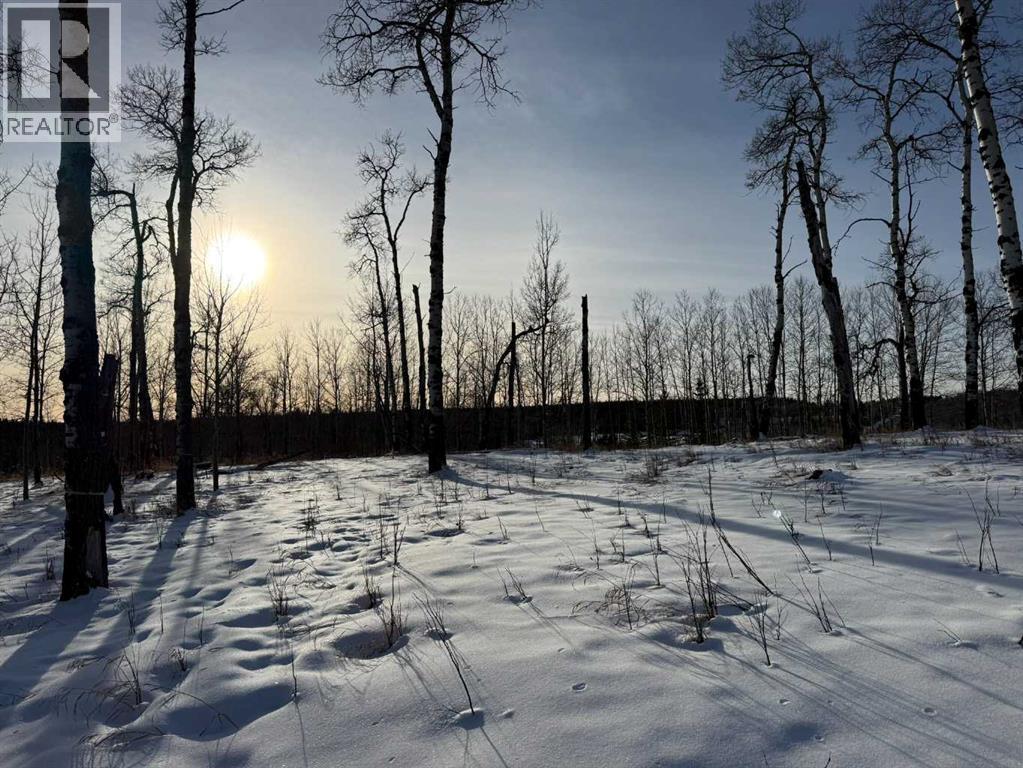 3, 5228 Highway 579, Rural Mountain View County, Alberta