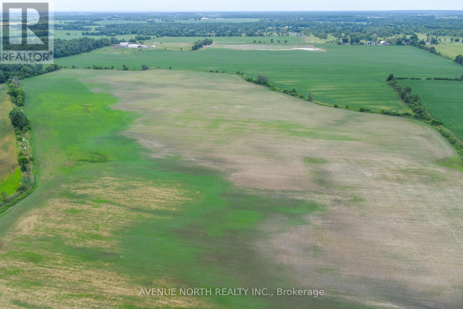 4532 Rockdale Road, Ottawa, Ontario K4B 1H9 - Photo 3 - X12746436