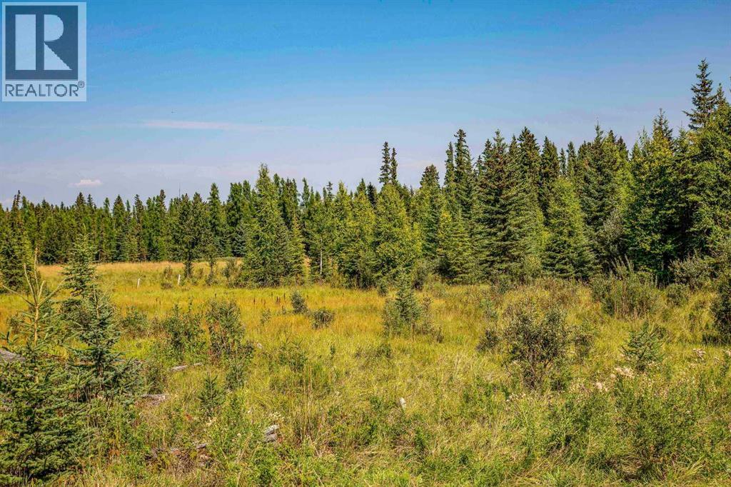 On Range Road 33, Rural Red Deer County, Alberta  T0M 0X0 - Photo 5 - A2281613