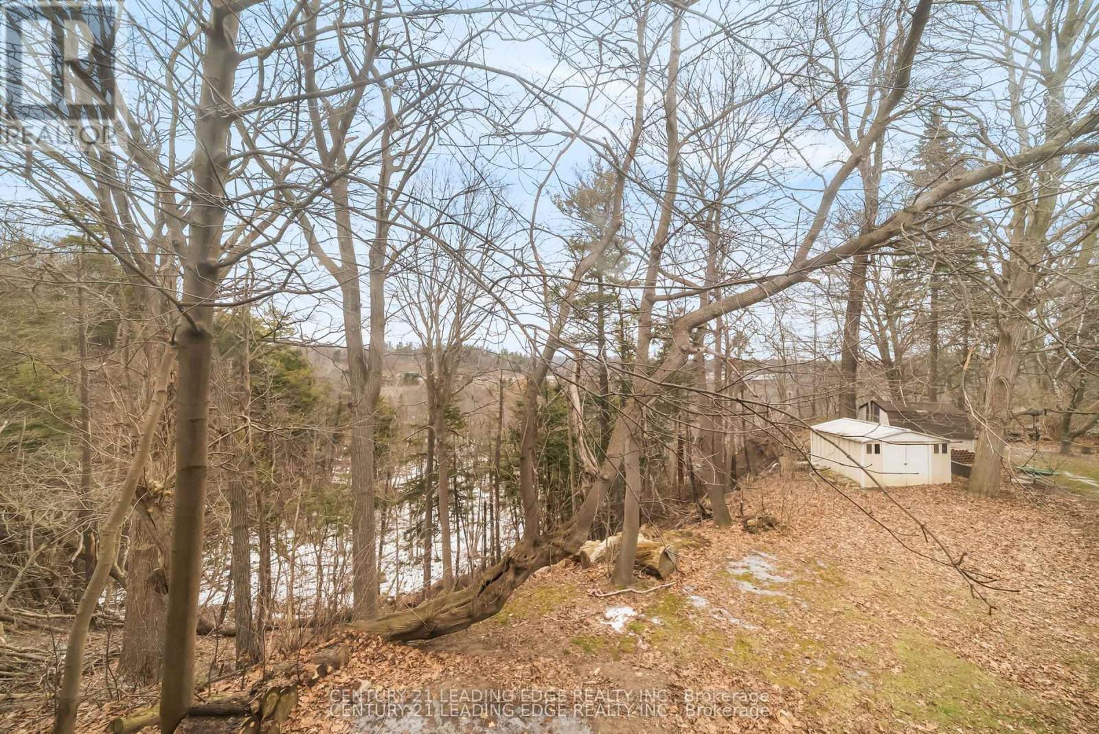 541 Rouge Hills Drive, Toronto, Ontario  M1C 2Z9 - Photo 33 - E12746504