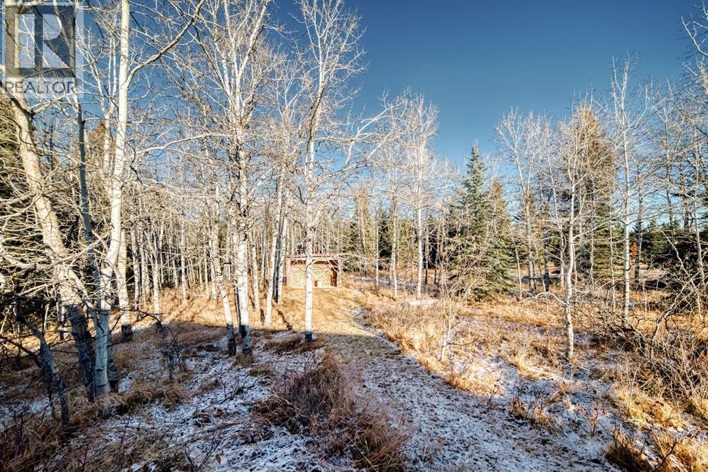 263230 Jamieson Road, Rural Bighorn No. 8, Alberta  T4C 1B6 - Photo 47 - A2271329