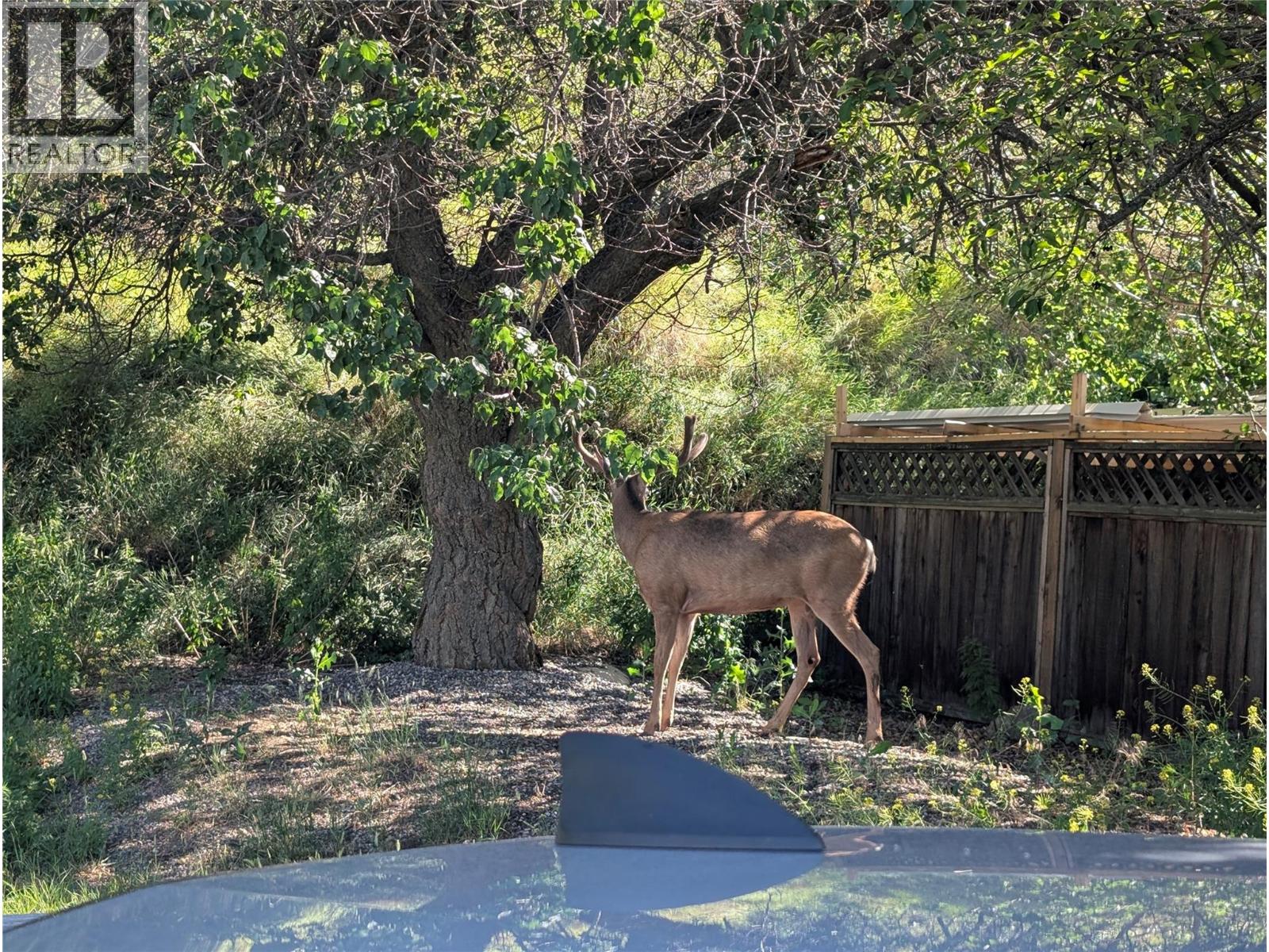 6411 Dallas Drive Kamloops Photo 60