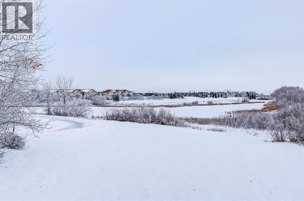 9 Copperleaf Way Se, Calgary, Alberta  T2Z 0H8 - Photo 44 - A2282971