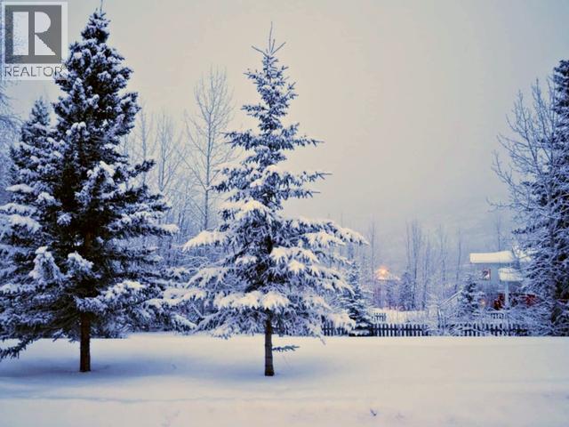 136 Dawson Drive, Faro, Yukon  Y0B 1K0 - Photo 42 - 16527