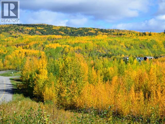 136 Dawson Drive, Faro, Yukon  Y0B 1K0 - Photo 41 - 16527