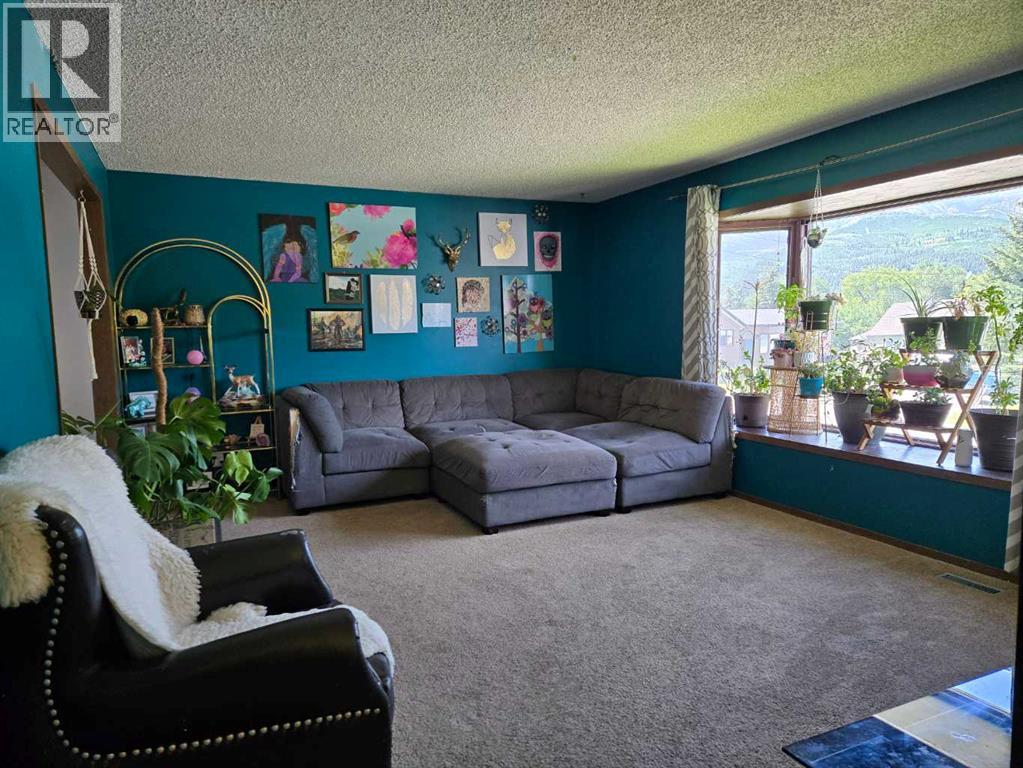 3002 225 Street, Bellevue, Alberta  T0K 0C0 - Photo 9 - A2264792