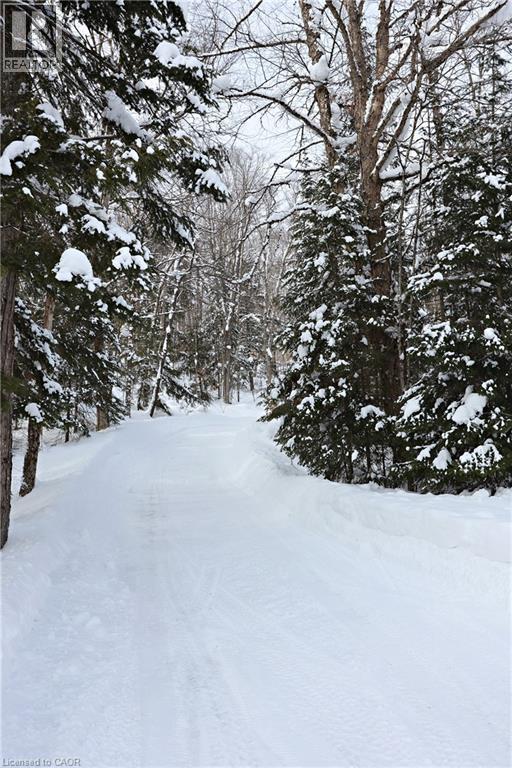 1355 Bellwood Acres Road, Dorset, Ontario  P0B 1A0 - Photo 8 - 40802128