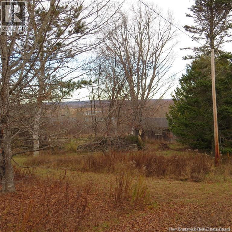 4717 102 Route, Queenstown, New Brunswick  E5M 2A3 - Photo 6 - NB130503
