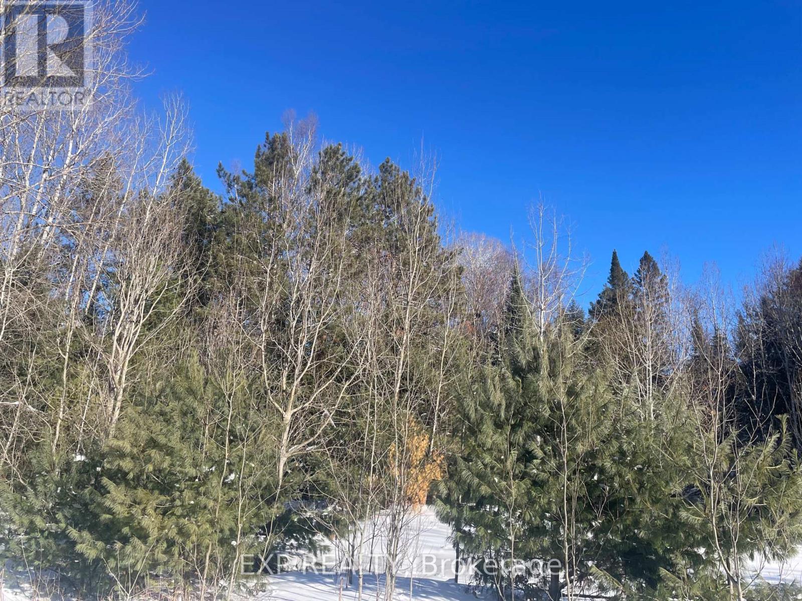 PT LT 25 SCHUTT ROAD, Brudenell, Ontario