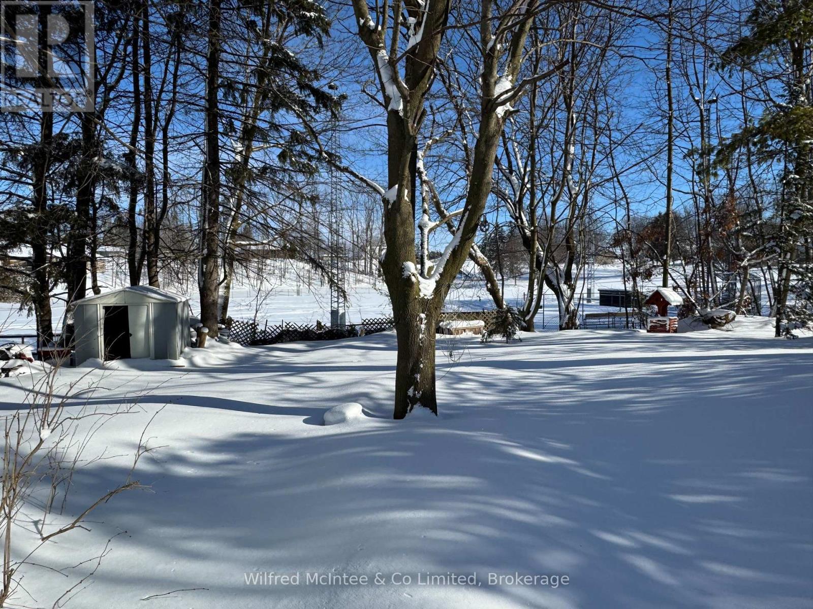 11 Simpson Street, South Bruce, Ontario  N0G 2J0 - Photo 4 - X12746940