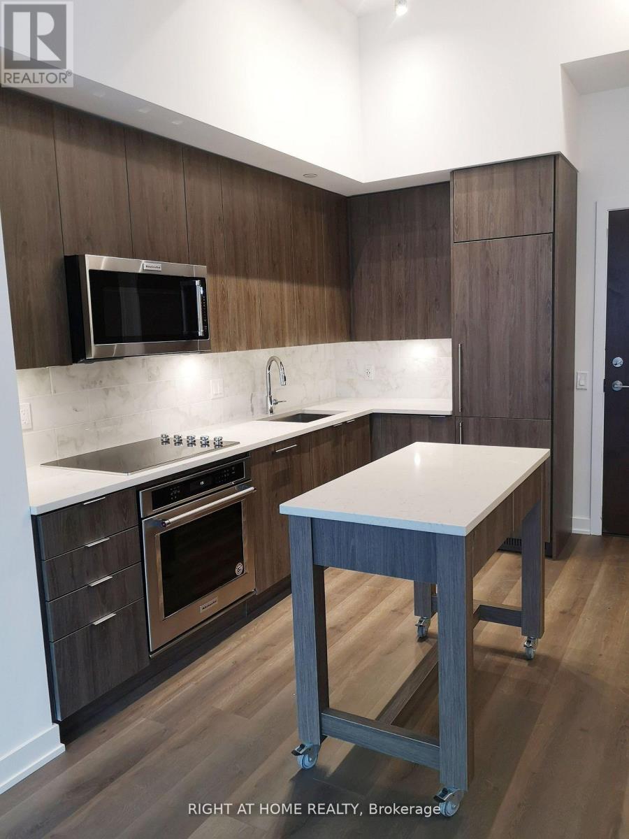 207 - 38 Iannuzzi Street, Toronto, Ontario  M5V 0S2 - Photo 11 - C12746936