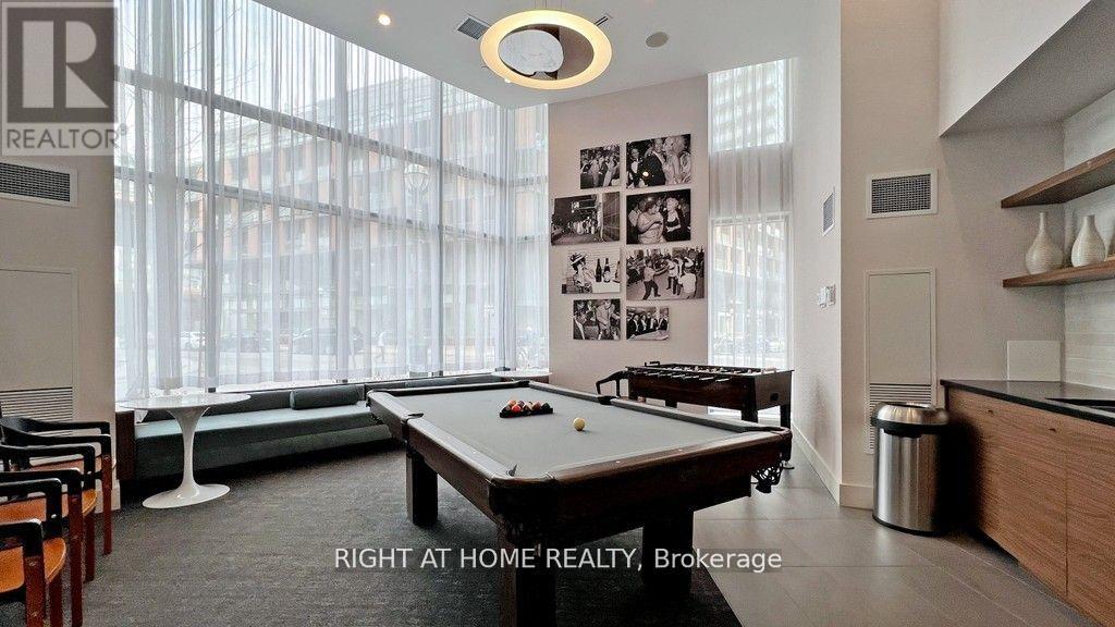 207 - 38 Iannuzzi Street, Toronto, Ontario  M5V 0S2 - Photo 18 - C12746936