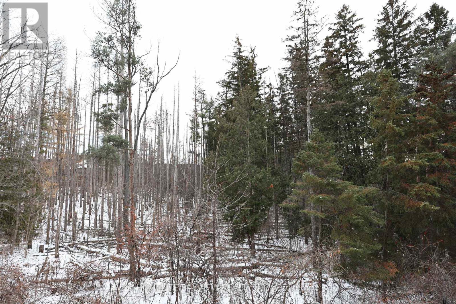 171 Maurier Boulevard, Vaughan, Ontario  L6A 0V2 - Photo 11 - N12746988