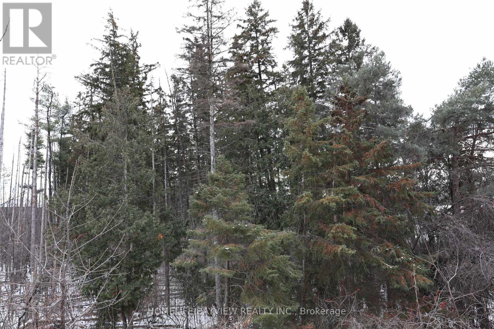 171 Maurier Boulevard, Vaughan, Ontario  L6A 0V2 - Photo 13 - N12746988