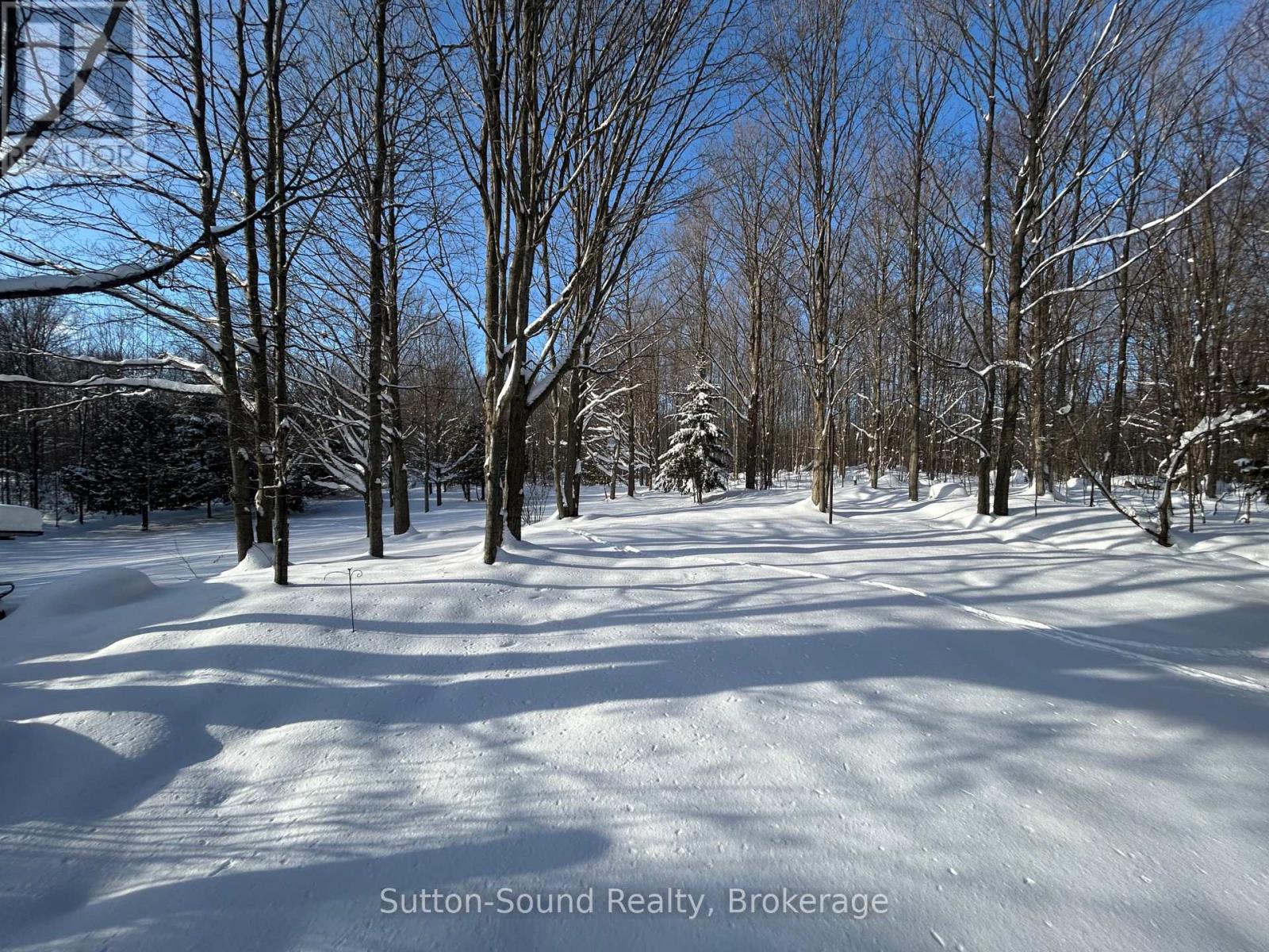 240135 Wilcox Side Road, Georgian Bluffs, Ontario  N4K 5N7 - Photo 37 - X12747232