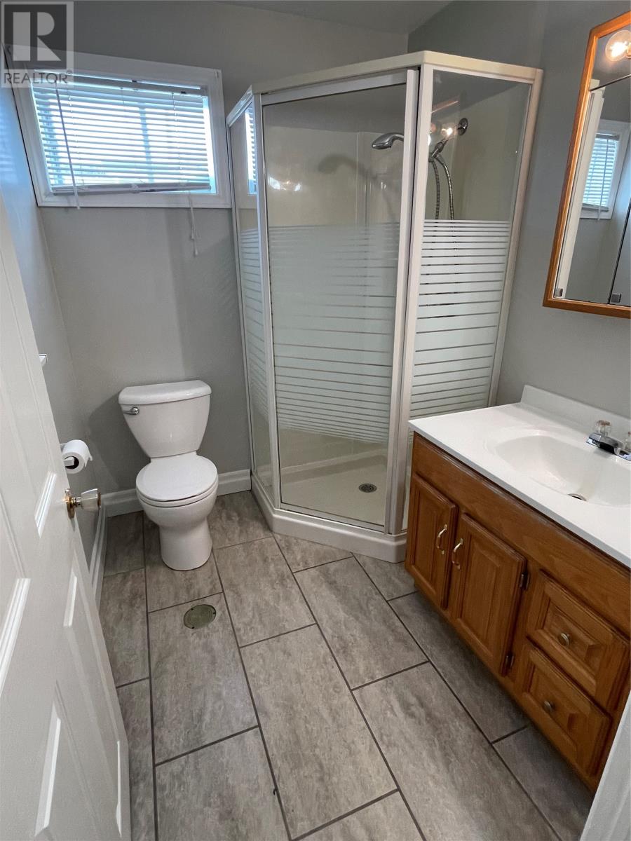 3 Larkhall Street, St. John's, Newfoundland & Labrador  A1B 2C2 - Photo 18 - 1294187