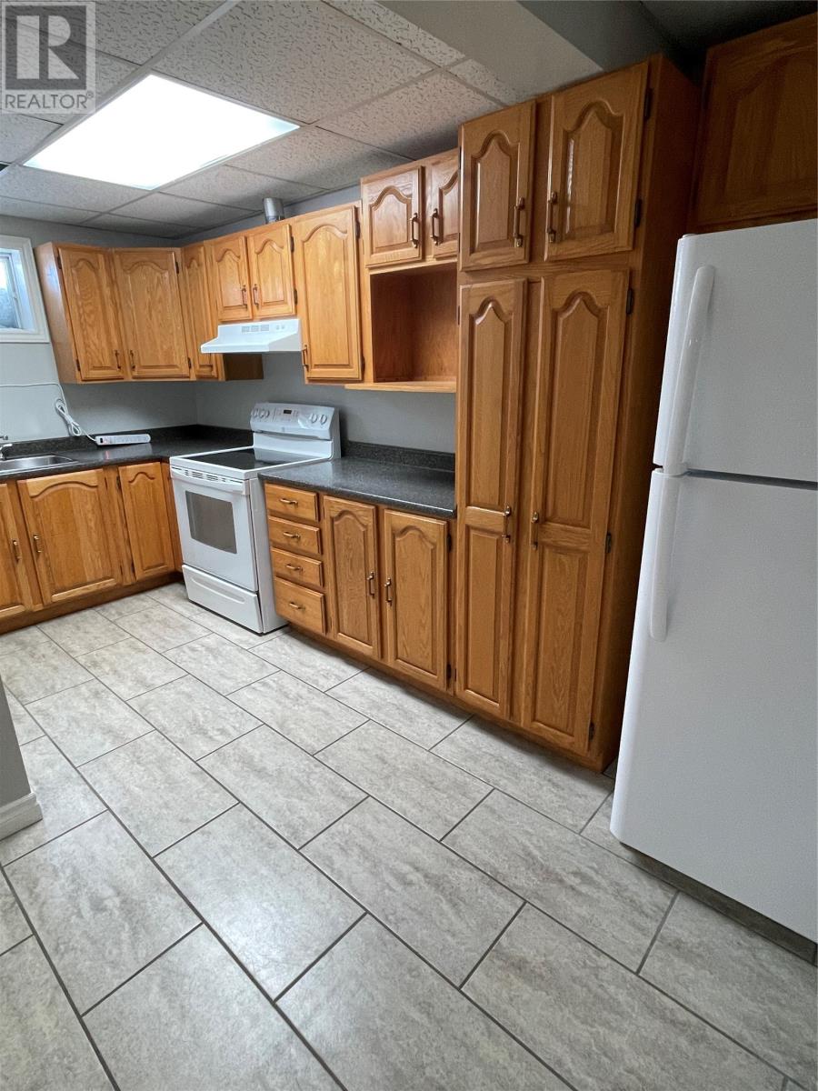 3 Larkhall Street, St. John's, Newfoundland & Labrador  A1B 2C2 - Photo 19 - 1294187