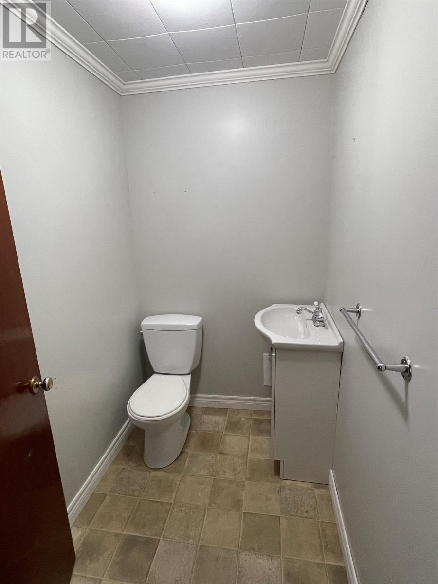 3 Larkhall Street, St. John's, Newfoundland & Labrador  A1B 2C2 - Photo 21 - 1294187