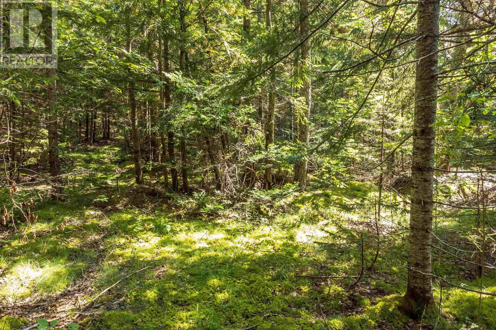 Lots Mcnally Road, Victoria Harbour, Nova Scotia  B0P 1C0 - Photo 14 - 202601842