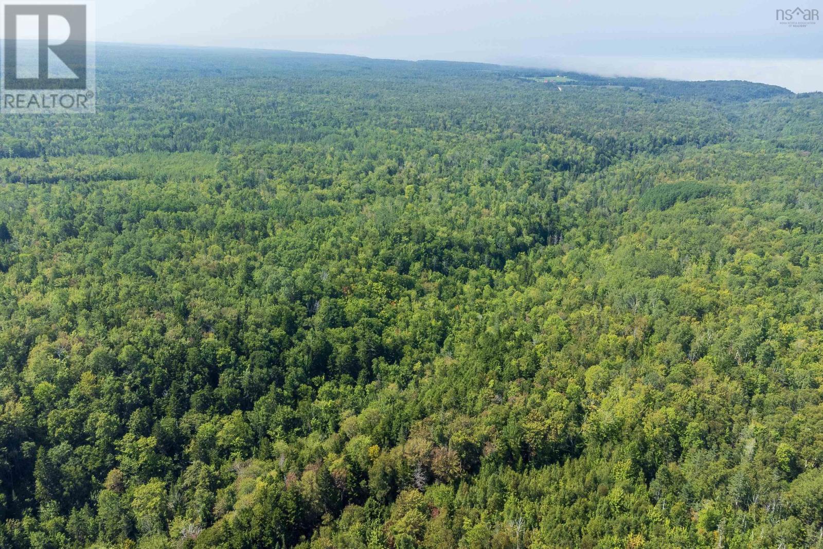 Lots Mcnally Road, Victoria Harbour, Nova Scotia  B0P 1C0 - Photo 18 - 202601842