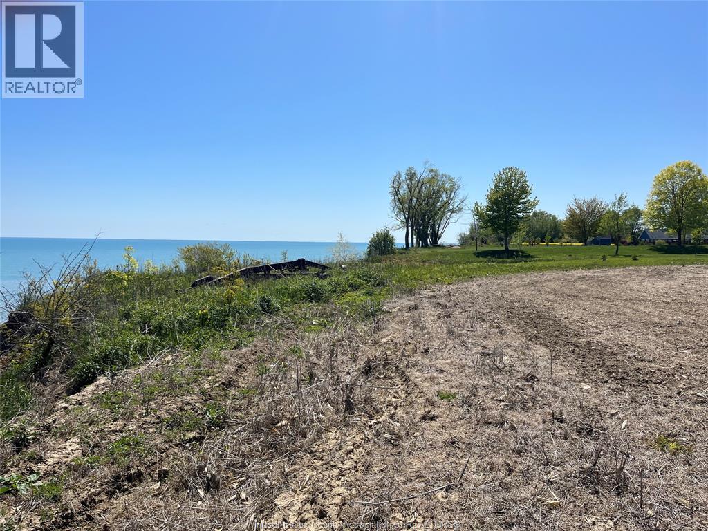 4670 Talbot Trail, Merlin, Ontario  N0P 1W0 - Photo 4 - 26002297