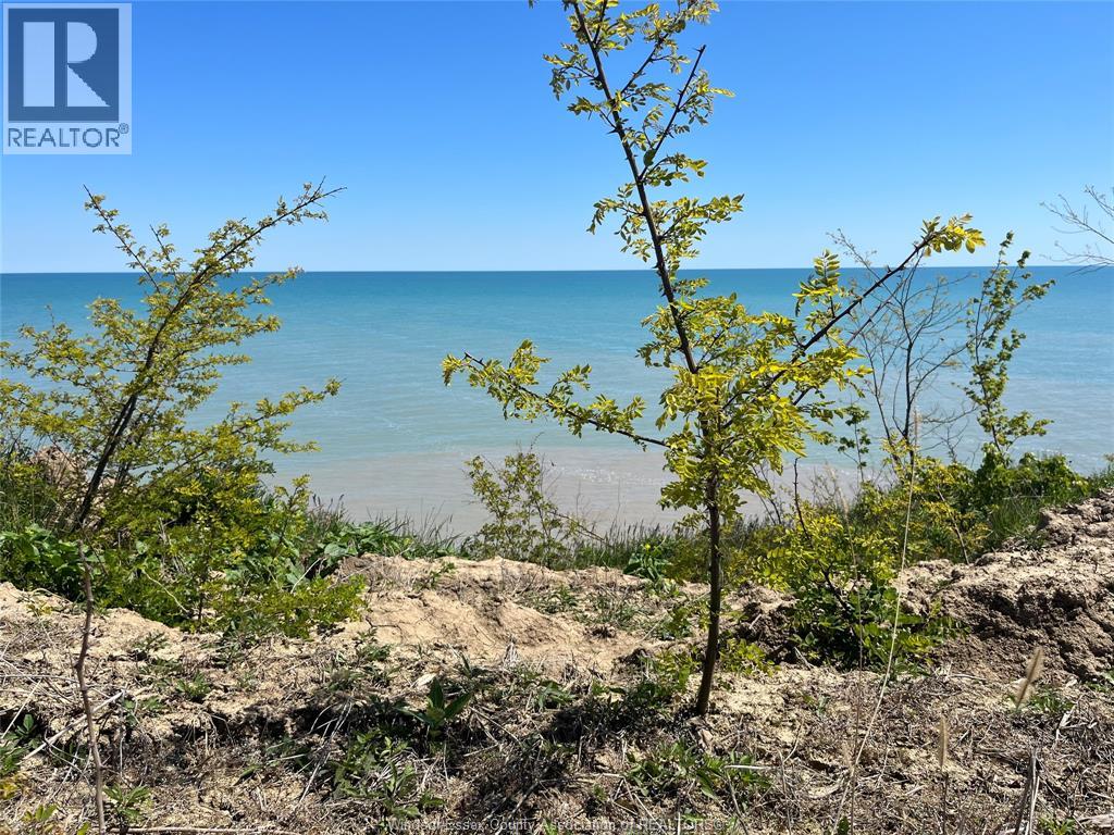 4670 Talbot Trail, Merlin, Ontario  N0P 1W0 - Photo 5 - 26002297