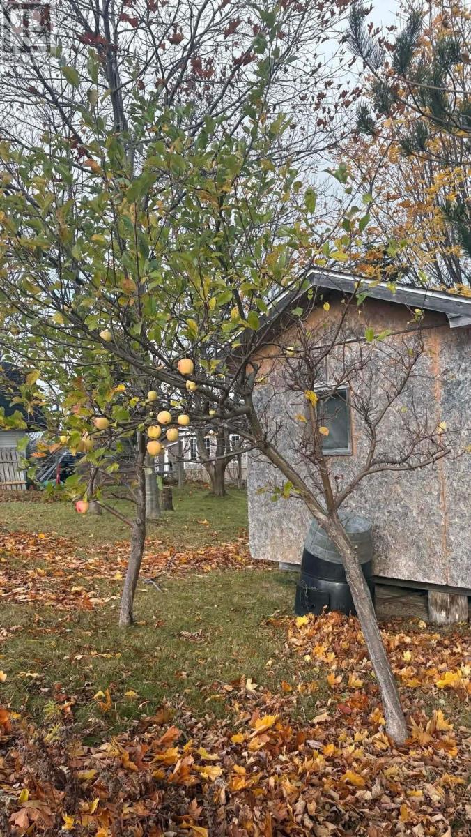 259 Kippens Road, Kippens, Newfoundland & Labrador  A2N 1B8 - Photo 20 - 1294229