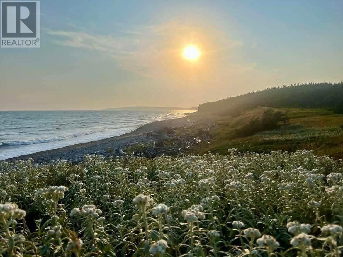 259 Kippens Road, Kippens, Newfoundland & Labrador  A2N 1B8 - Photo 23 - 1294229