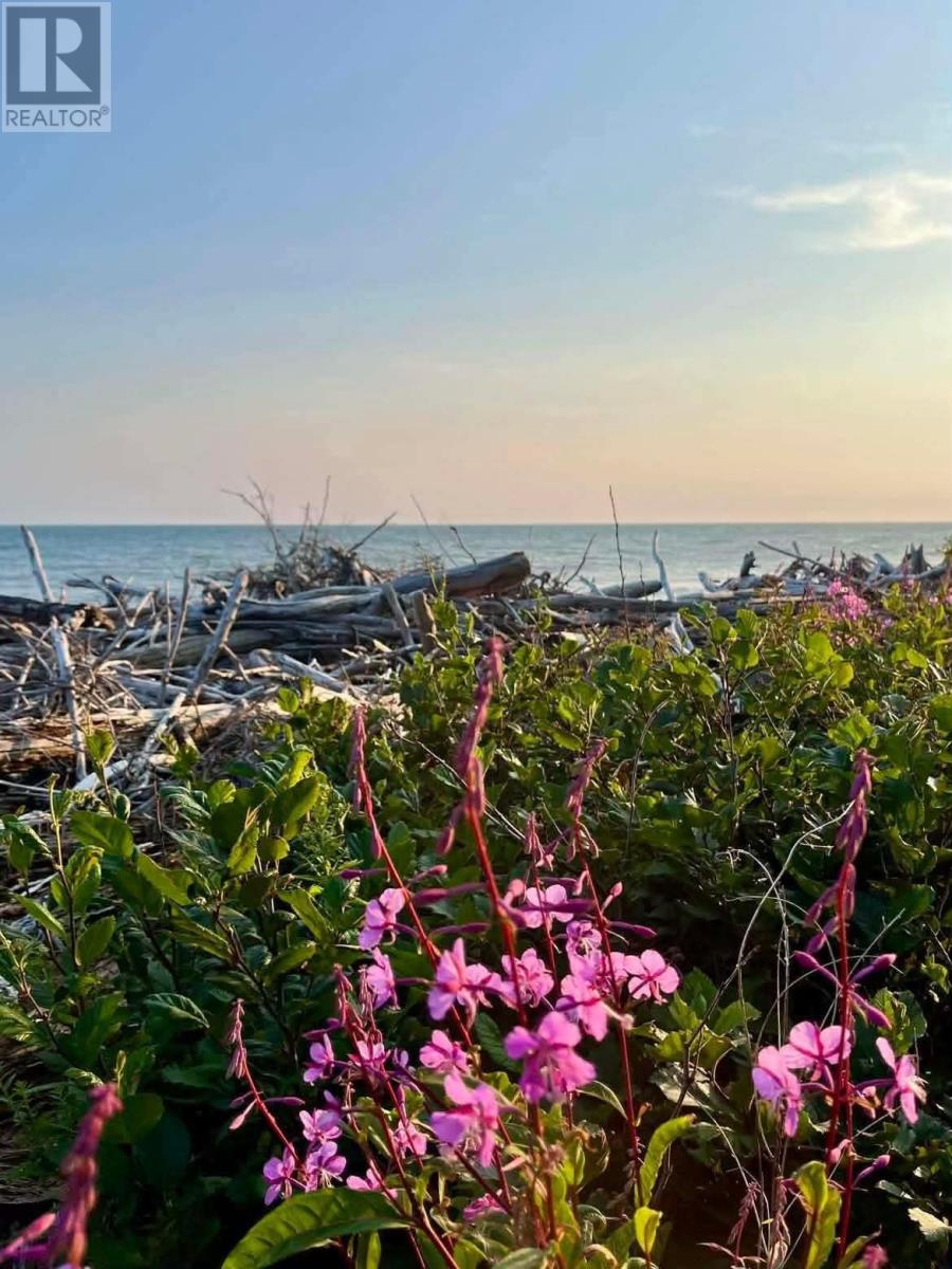 259 Kippens Road, Kippens, Newfoundland & Labrador  A2N 1B8 - Photo 24 - 1294229