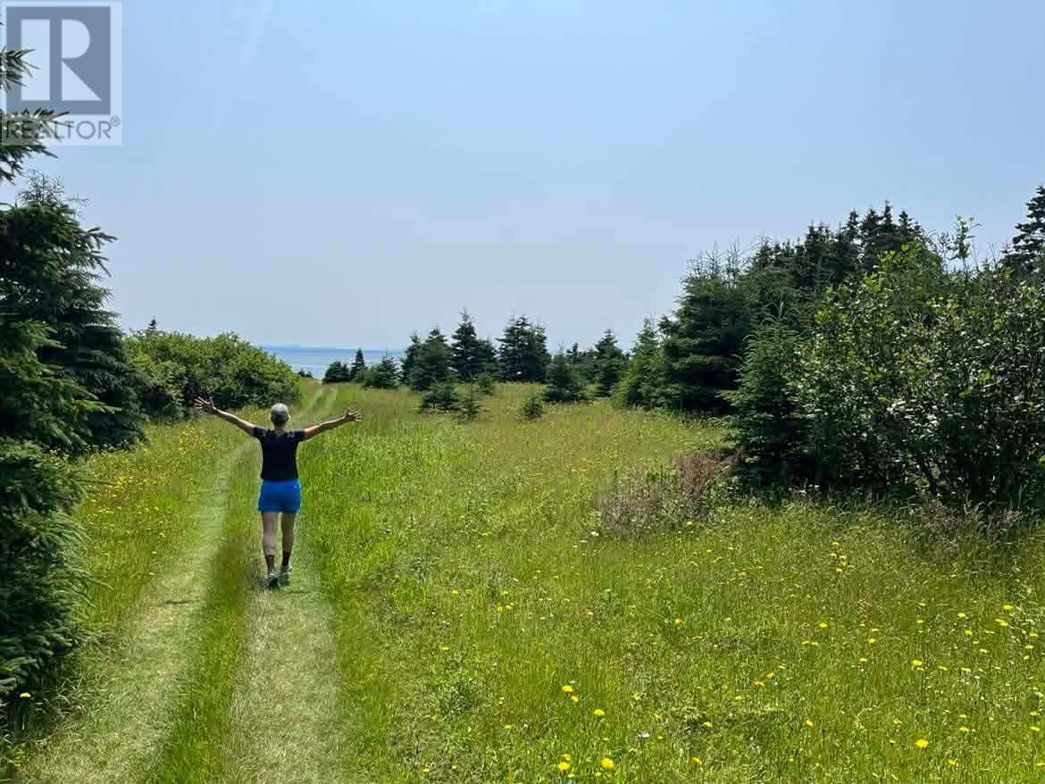 259 Kippens Road, Kippens, Newfoundland & Labrador  A2N 1B8 - Photo 25 - 1294229