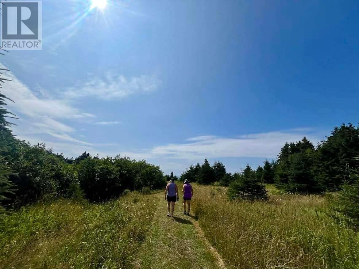 259 Kippens Road, Kippens, Newfoundland & Labrador  A2N 1B8 - Photo 26 - 1294229