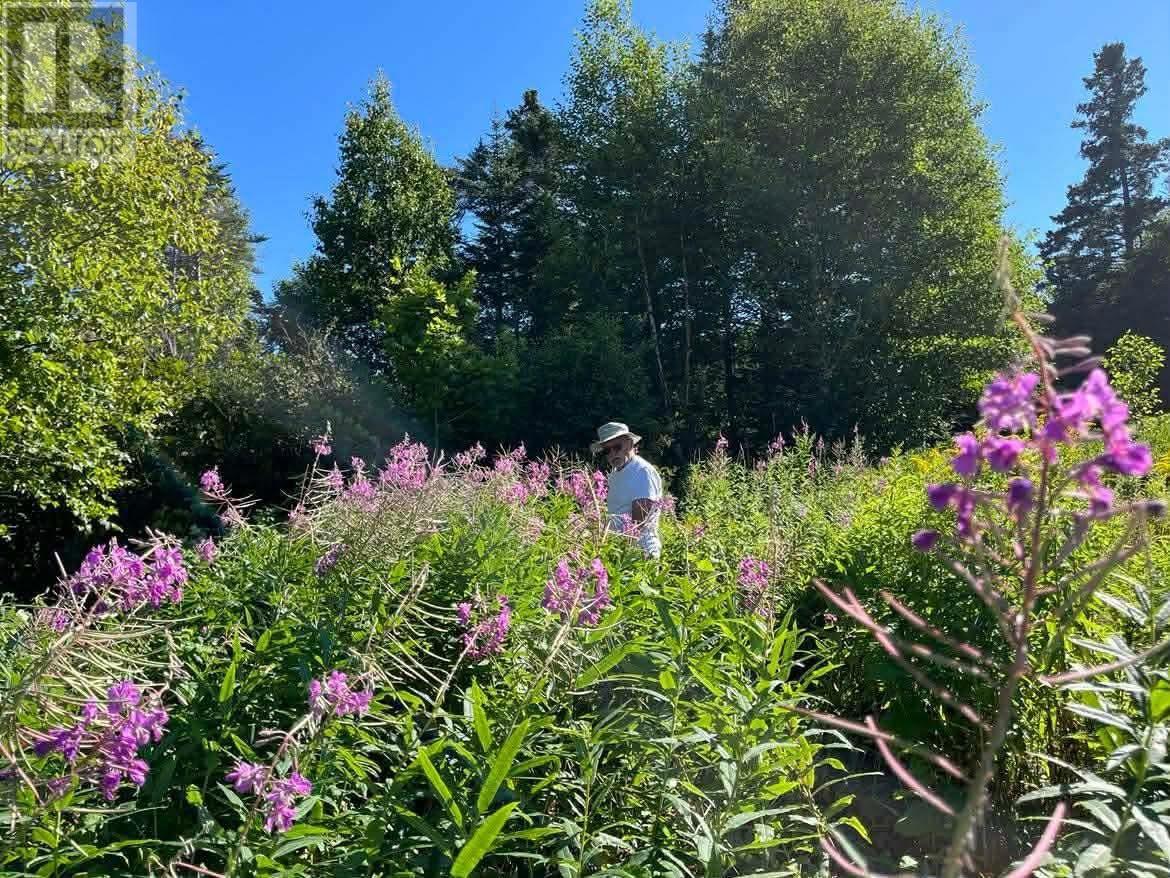 259 Kippens Road, Kippens, Newfoundland & Labrador  A2N 1B8 - Photo 30 - 1294229