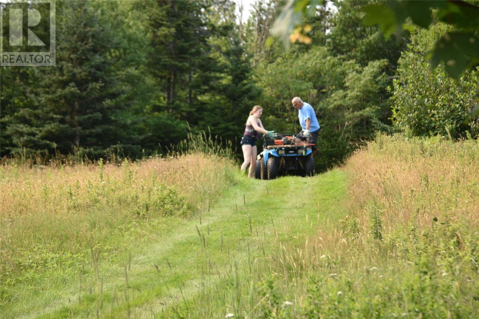259 Kippens Road, Kippens, Newfoundland & Labrador  A2N 1B8 - Photo 31 - 1294229