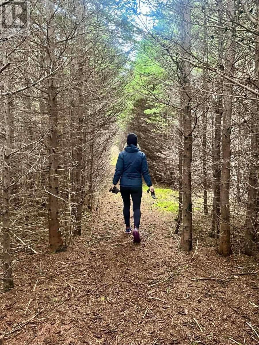 259 Kippens Road, Kippens, Newfoundland & Labrador  A2N 1B8 - Photo 35 - 1294229