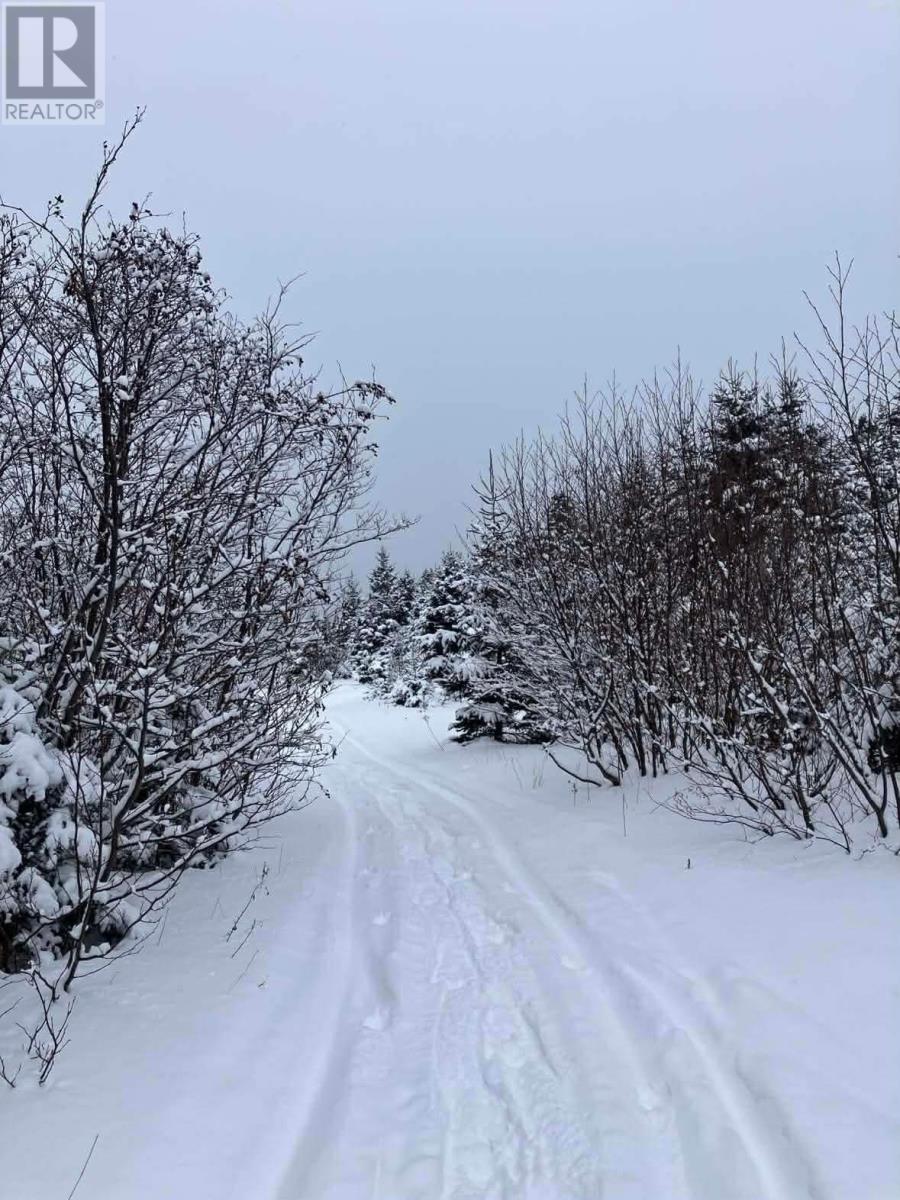 259 Kippens Road, Kippens, Newfoundland & Labrador  A2N 1B8 - Photo 36 - 1294229