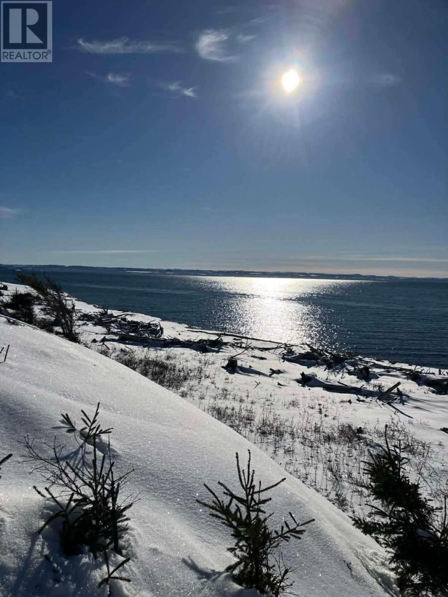 259 Kippens Road, Kippens, Newfoundland & Labrador  A2N 1B8 - Photo 37 - 1294229