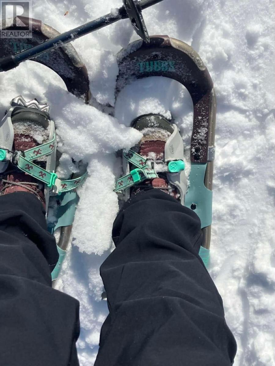 259 Kippens Road, Kippens, Newfoundland & Labrador  A2N 1B8 - Photo 38 - 1294229