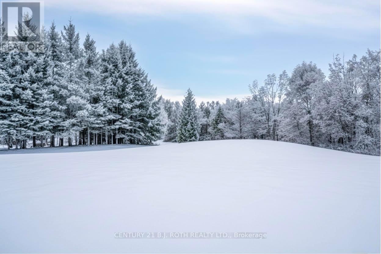 70 Line 12 South Line, Oro-Medonte, Ontario  L0L 1T0 - Photo 5 - S12747400